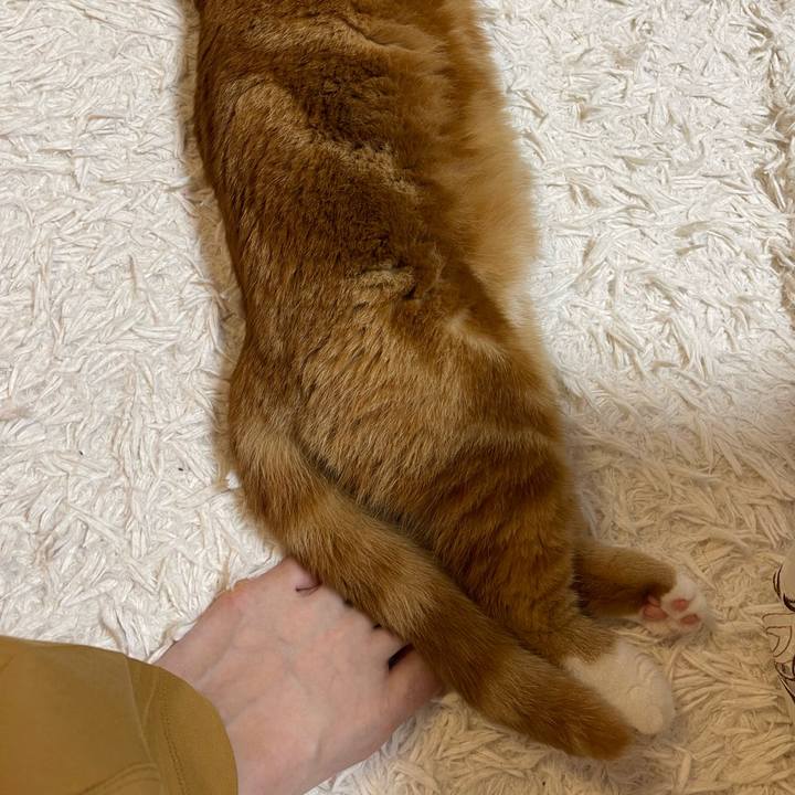 9957b6b3 6a07 4152 9b56 812ae0c984b5 1660996383423