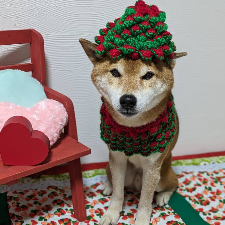 9957be2d 8d91 432d 90fd 6b8bec202acf 1707910410636