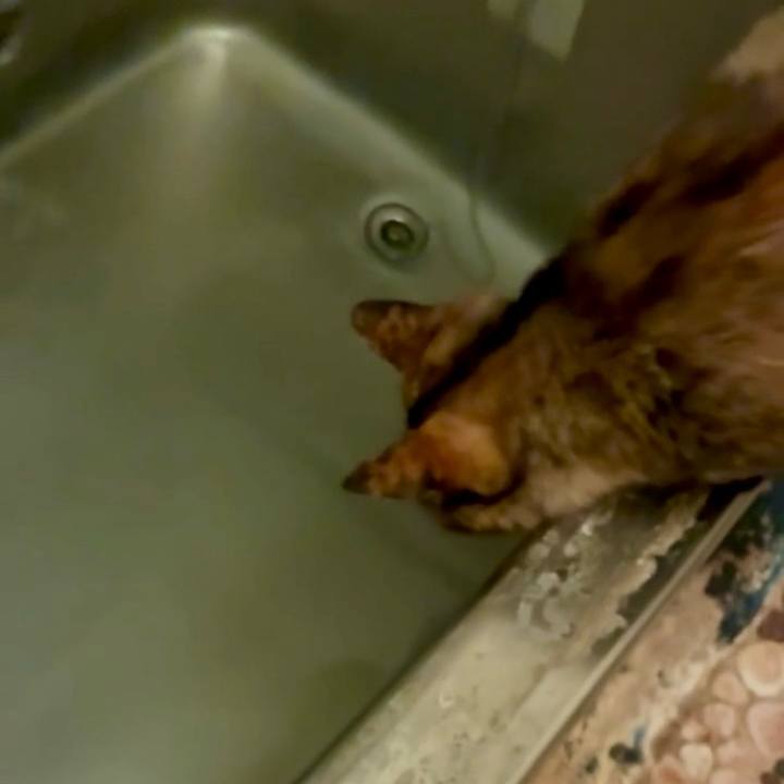 9957c417 b66a 44c5 a6e0 4c98cacd60e4 1750366016544