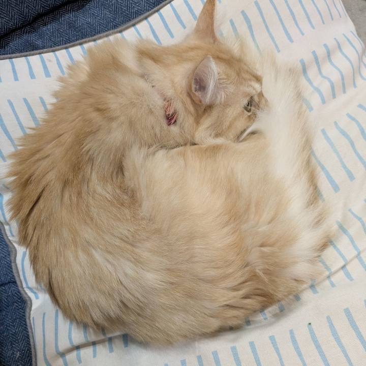 9957cfca 4902 4d7e 94a8 9c77b67f2ff0 1761448079993