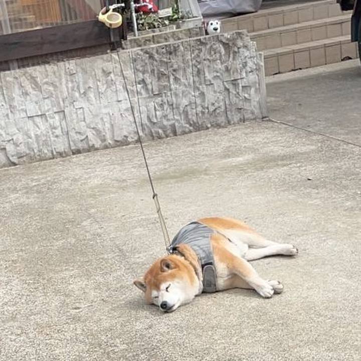 9957e917 9feb 4b0c 9251 3ca872329dcf 1648019943930