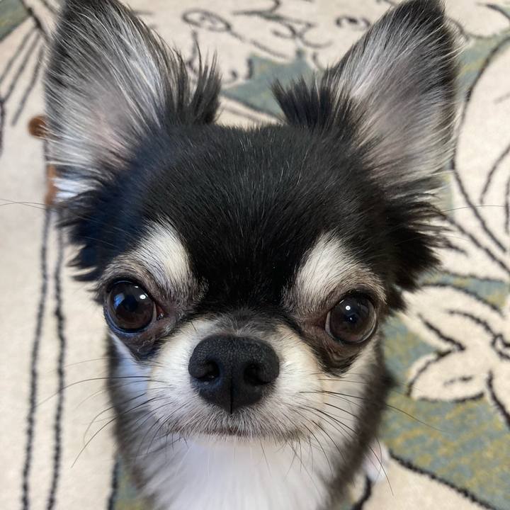 99582b25 3894 48c9 95ba 41d905dd4bf5 1626558511231