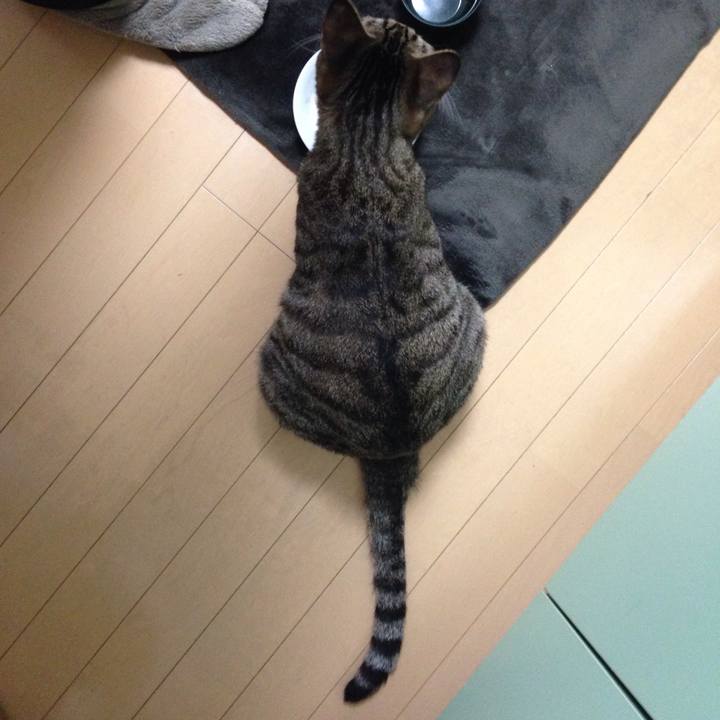 99585897 178c 4f86 a5dd 778805b8f817 1508905659453