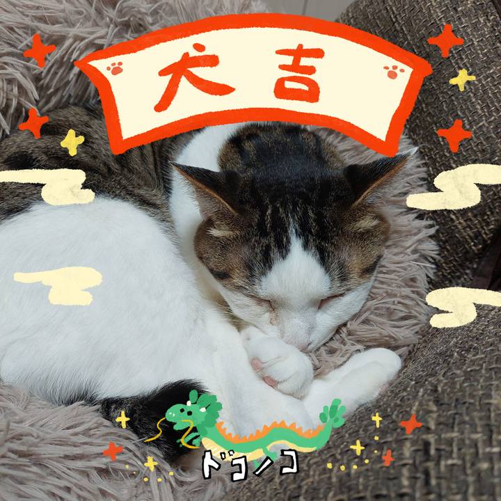 99589091 5e96 4eca 8731 8a919f36a4cb 1704327497059