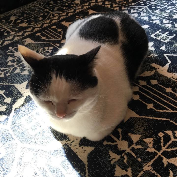 9958aa7f 53ab 49b6 b4c0 3872c0ed81c6 1521852645393