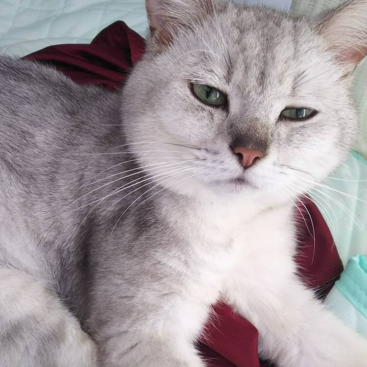 9958d36d 5b4b 4696 8fb2 b86a3e14143a 1537155258928