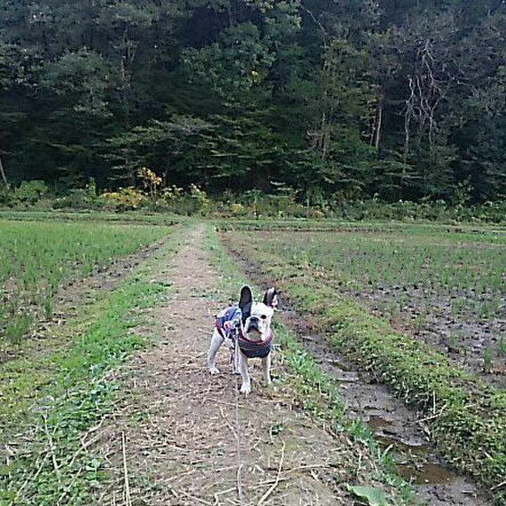 9958d907 ae6e 4dfa a821 cff88815ed45 1541226452297