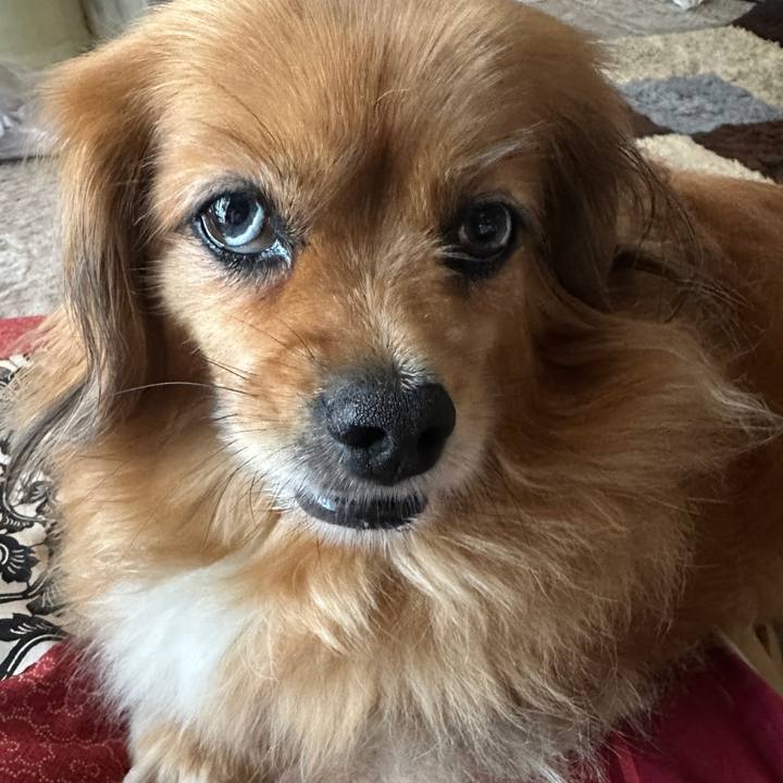 9958e0dc 1cfc 46d4 8df7 a1d49a3b2e09 1688593545672