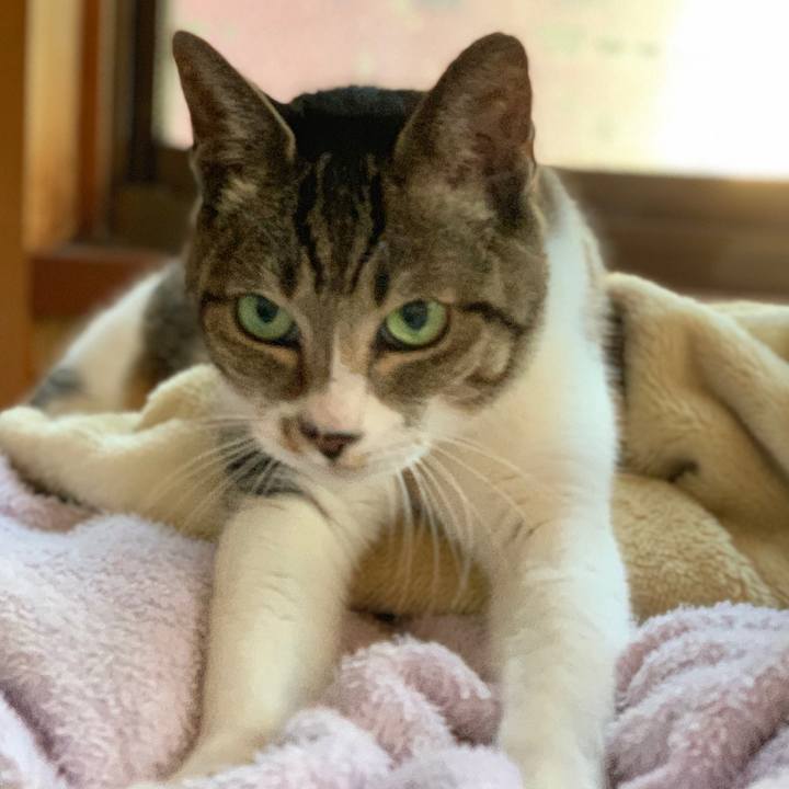 9959070e 62c4 48f1 bd36 ed71d1aa0a4b 1577405077294