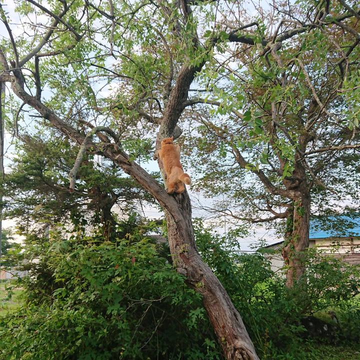 99591280 19f3 4558 bb55 dd2932287c02 1656968742802