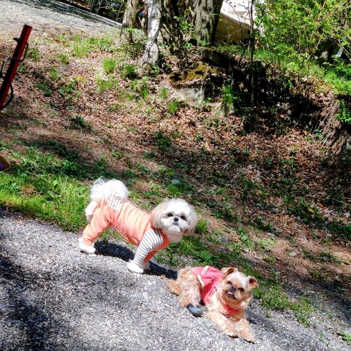 99591f72 8792 4fea b106 c8459ae82010 1683468382792