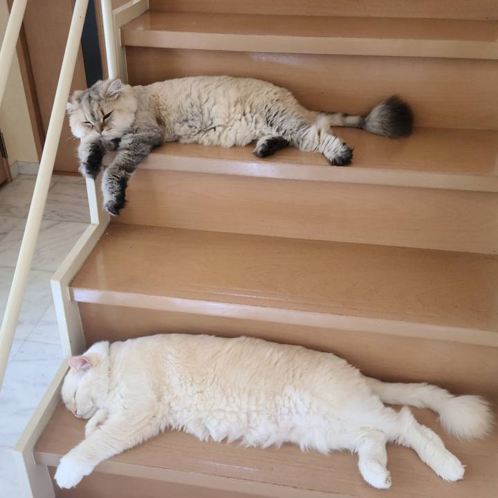 9959224f 9b3b 4eed 9990 7ea4d9783155 1695951311136