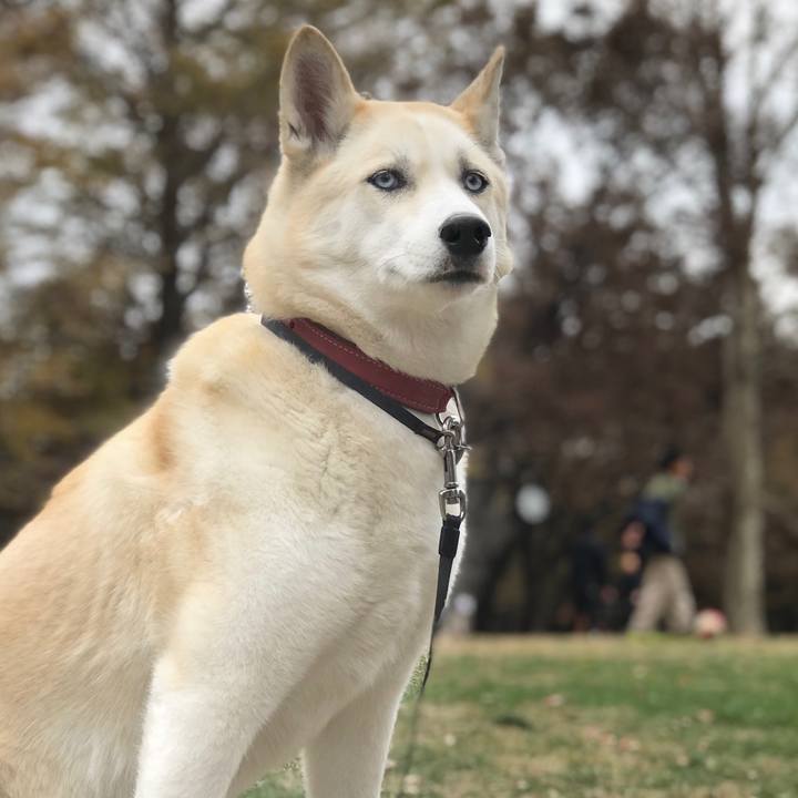 99593c41 8d07 4919 8883 7b05a22714b3 1543979754683