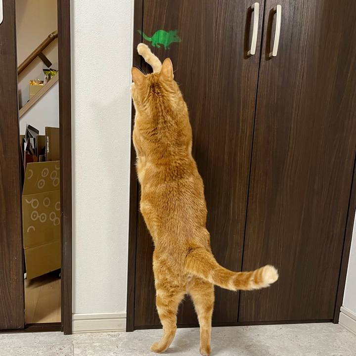 9959642a 5892 4ebc b460 3737bf0b6981 1650493580686