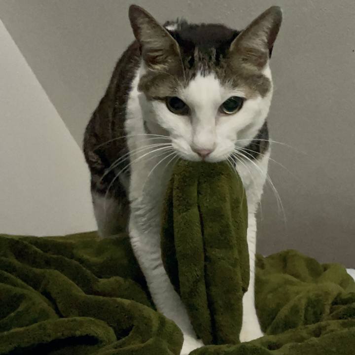 99596e08 1600 444d a1cb 66801969b0ba 1727248129659