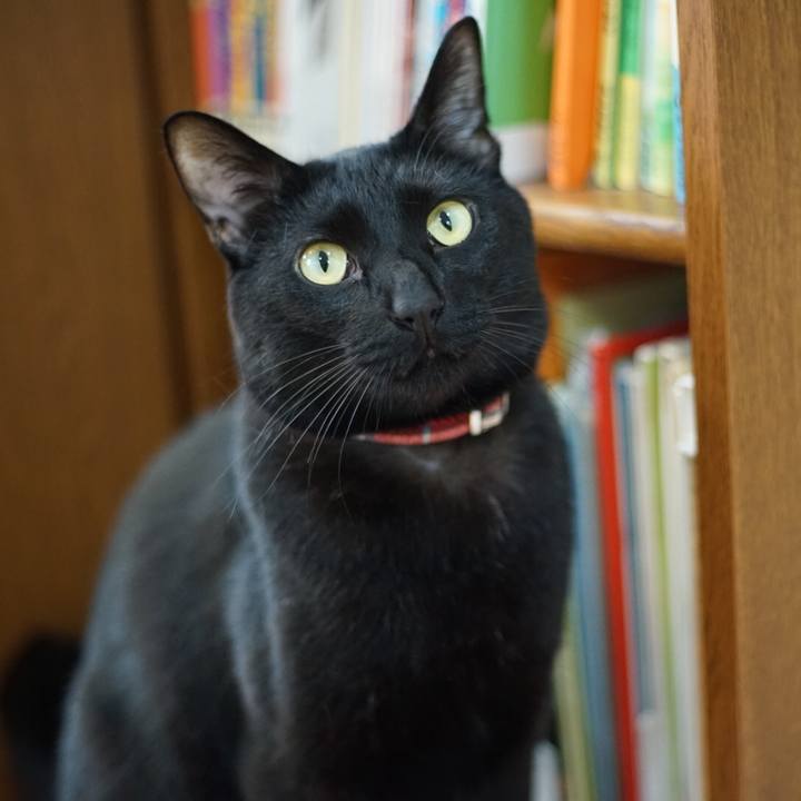 99597bda c3c1 4563 b585 44982edc7e46 1522971417539