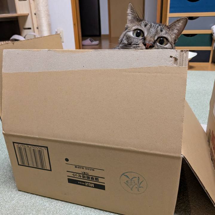 9959866c f522 42fa 982a a9efb9c22a3c 1774694465217