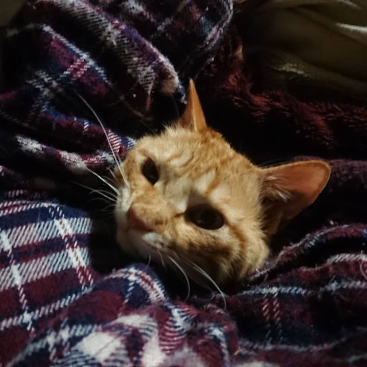 995987bb e7ff 43c1 ae80 1e49b7c9904e 1647203646682