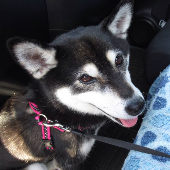 9959c618 a56c 4e73 a943 82fd6e09bf6d 1561589465536