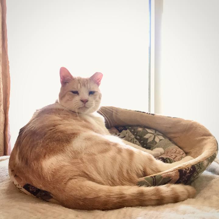 9959cd75 cc95 4fcc a361 403a6d5e3700 1638505430307