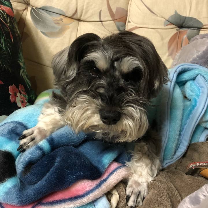 995a01fa d431 4cb9 8889 7de1ff92ab8e 1524319401125