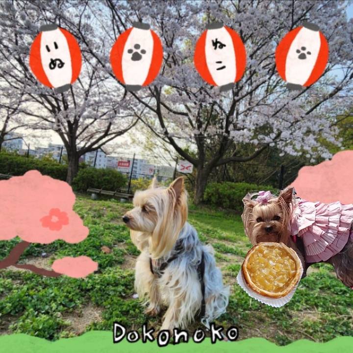 995a1f9c 4896 47de a809 58519c884faf 1712550559360