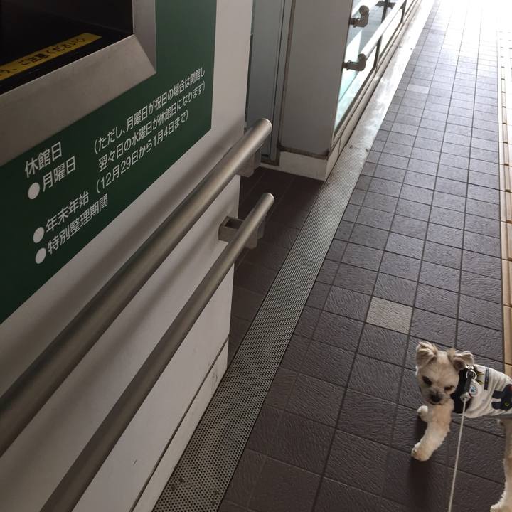 995a2d82 ffdc 467c a49b d7cbaa66955a 1531700518880