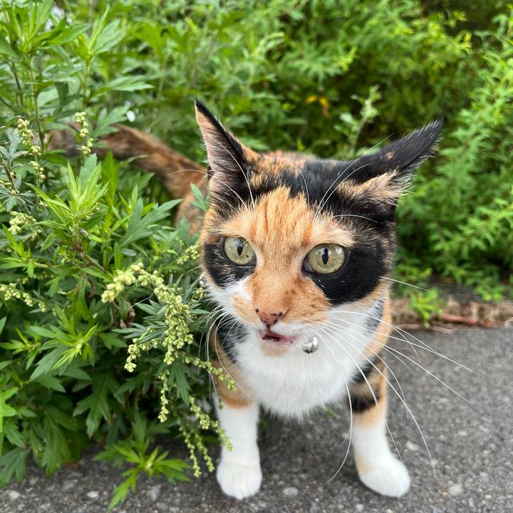 995a67f5 3ebb 4d00 b4b2 bea162b72c0a 1695685596314