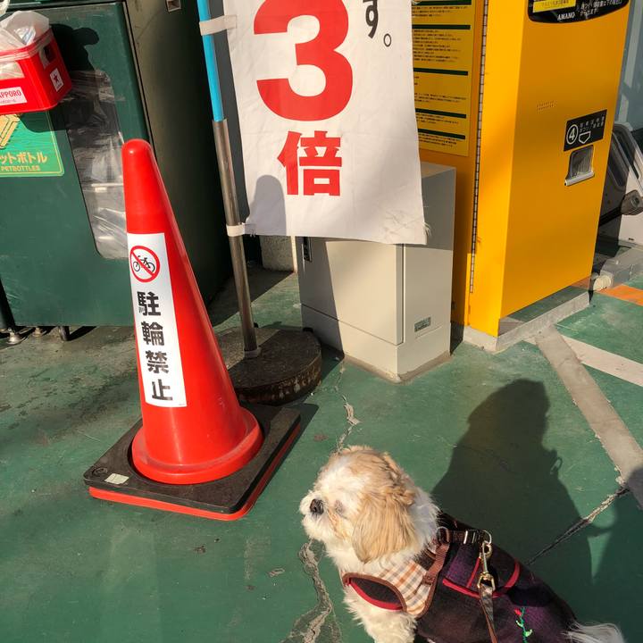 995a7a80 c3ab 4727 a17d 4ab3cdabd154 1518352823713