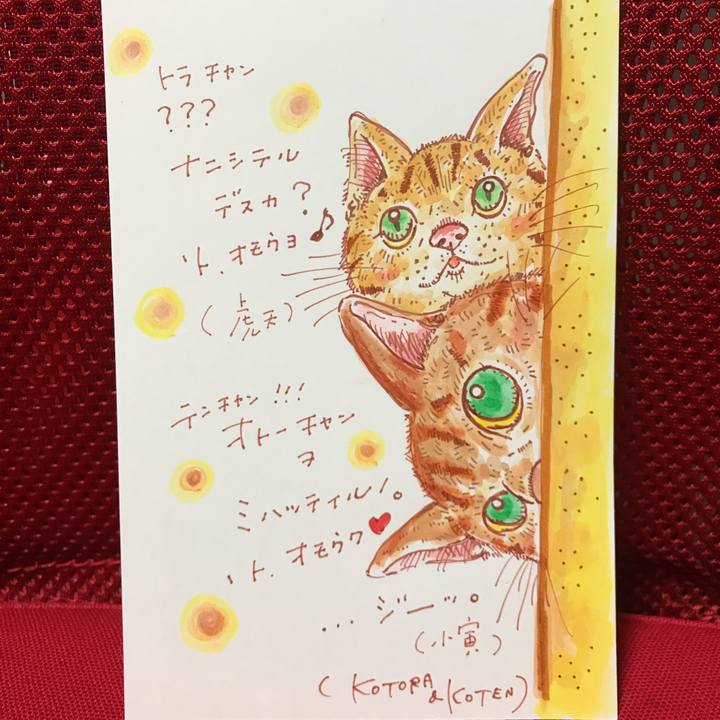 995a9779 5c70 4aba a10b 37c2e54e1c5b 1551706824863