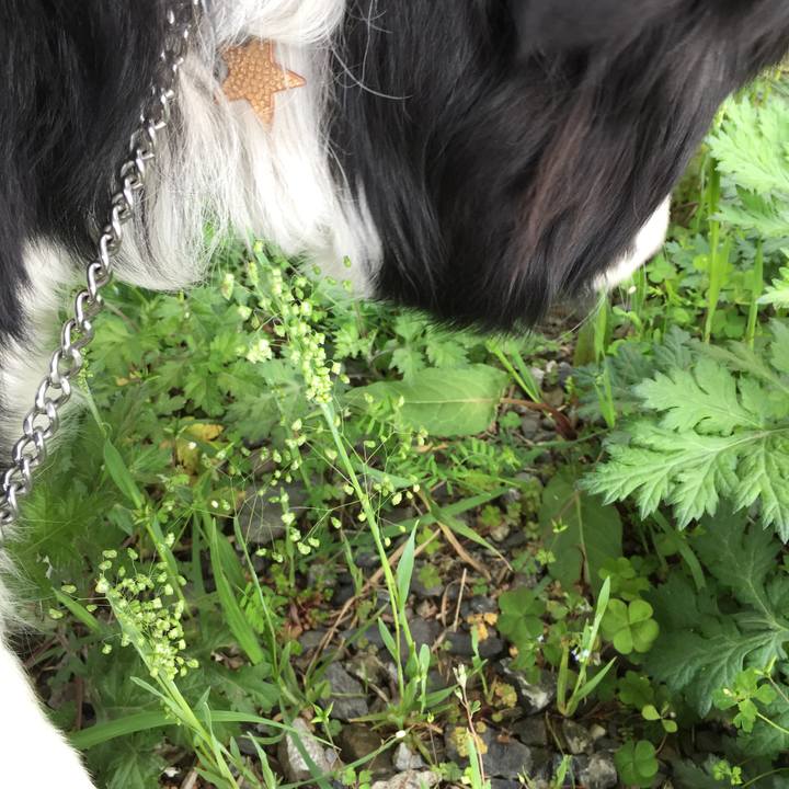 995a9f37 71b3 4262 a762 a6ae240a4ae5 1554613038393