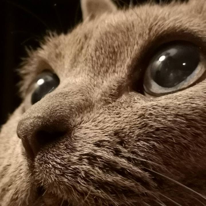 995aa7ce 2587 445d 9bdf 61716d93ccff 1569621046985