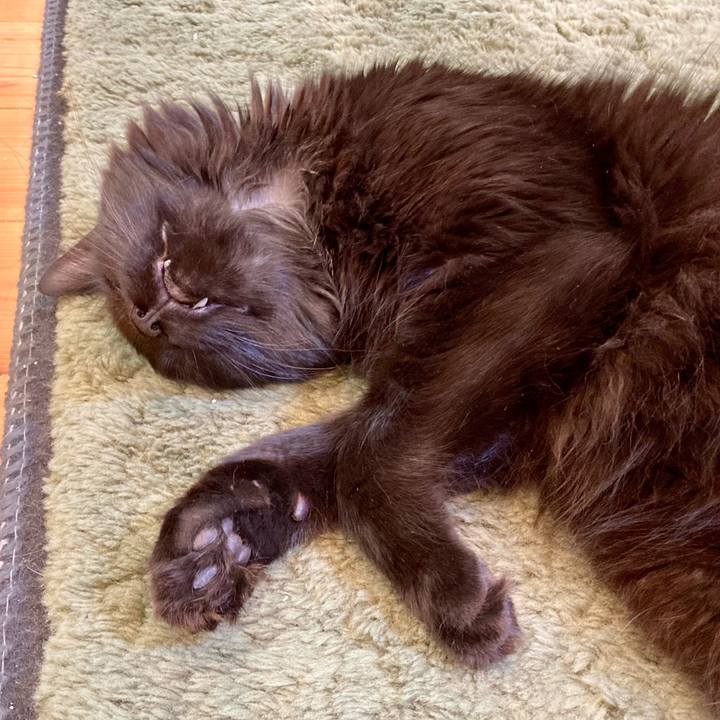 995aca81 7d38 4cb7 bf8e dd38414ec2a2 1747615631534