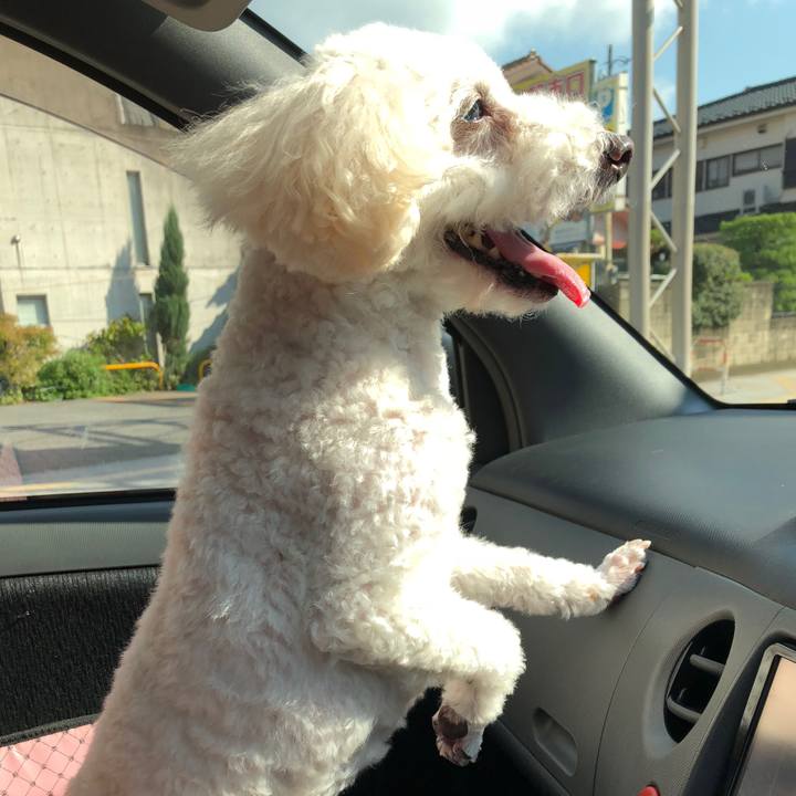 995ad6cb 3329 4c90 a255 2f580380fe49 1541765728499