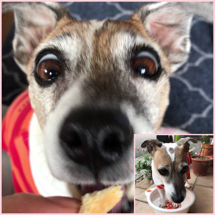 995b17d1 b871 4591 85cf 8053f657d2cd 1523841997977