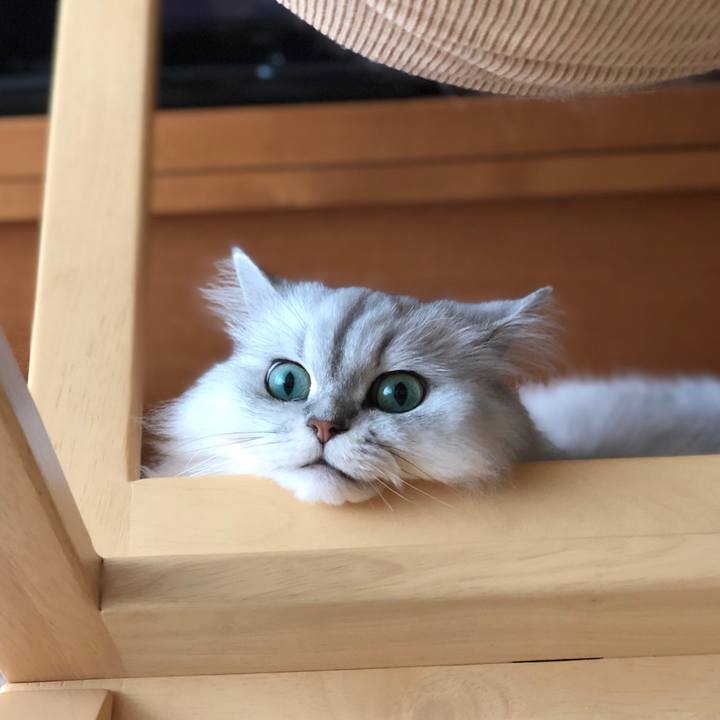 995b3b63 37cb 4b8b bde2 4213f97535d6 1538630529408