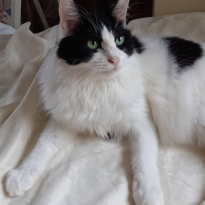 995b4953 c2d9 49ab a792 d8d106560791 1630701918700