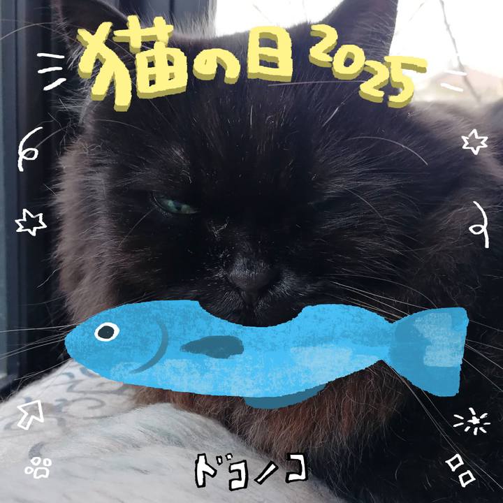 995b7963 8b33 4d21 8e1d c63bc81d5249 1740210244144