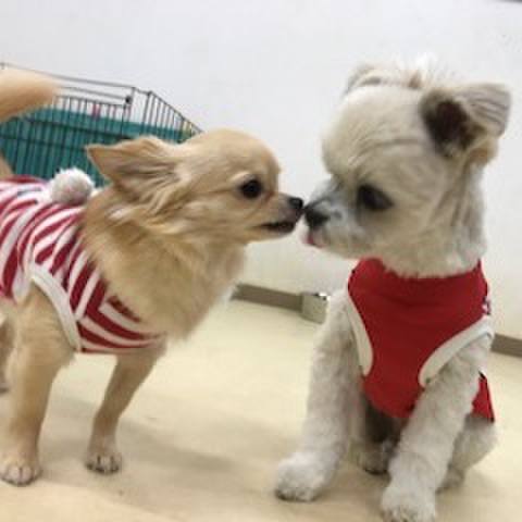 995b9466 bc43 4f2e 9ed6 c4427f73a2ca 1510313448653