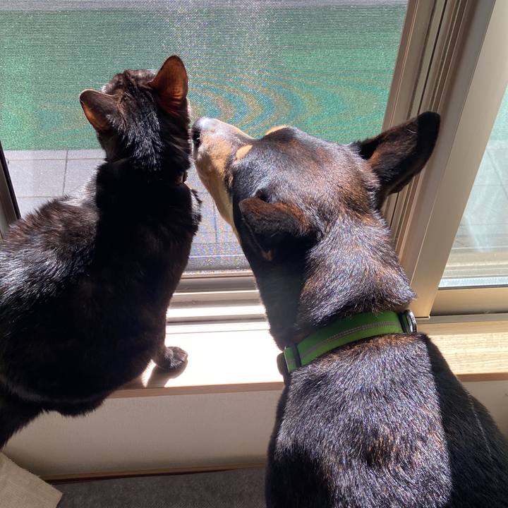 995b94ca 0638 41e8 935b 55574aee1c47 1647399827402