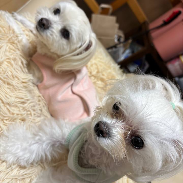 995bacb4 1797 4d14 a0c7 6d151ed3dcec 1772611988831