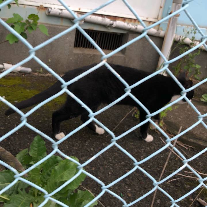 995bb06b 7a8c 4925 b47c 7c681c6ea4ab 1620137924260