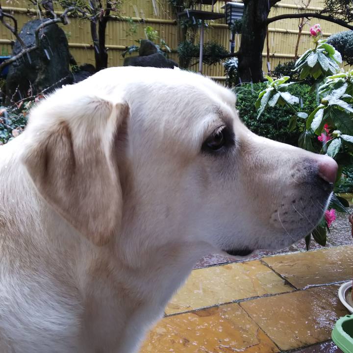 995bb758 e4df 46eb 896b 9860a07231ef 1585449484509