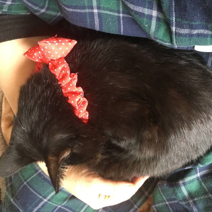 995be19c fc3d 4a3d a1cd 980fac258082 1550980046074