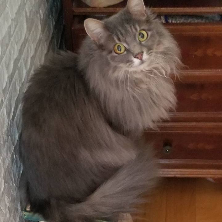 995bed04 629c 4e92 887a 26ecd3f72da4 1584600268455