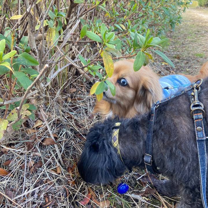 995c1a86 5a66 4673 be43 637395977f6b 1672794985469