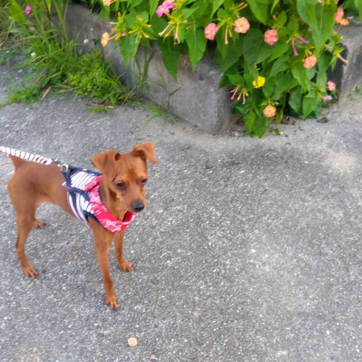 995c2e33 63d2 497f 96dc 28c872d9de91 1687088098256