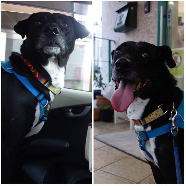 995c4c86 6d0c 43c3 bf57 eb3c3f4e87c9 1622631592485