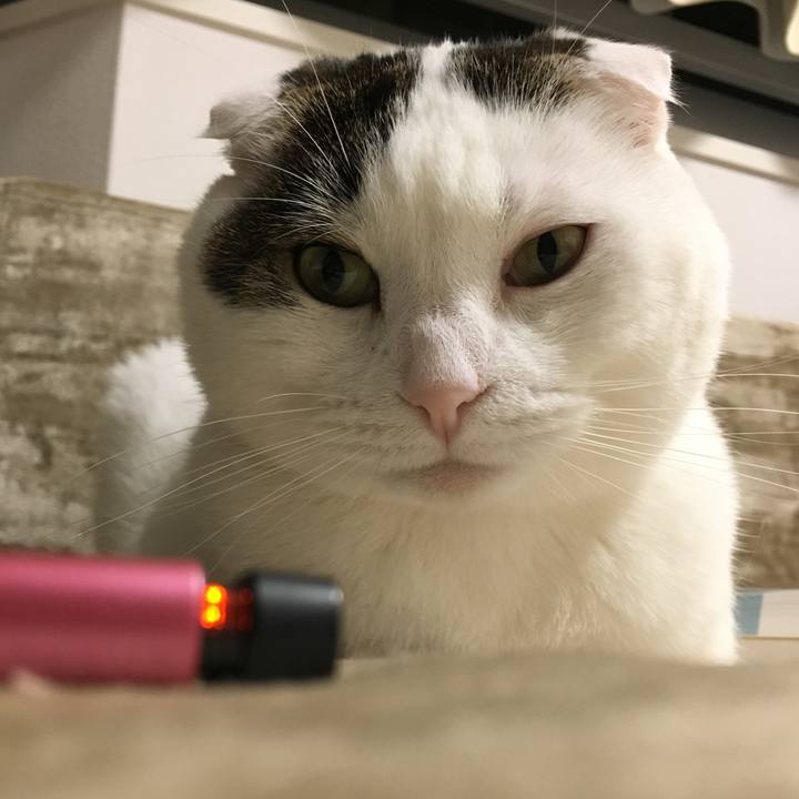 995c5608 41d3 4c05 af36 367cc05b8cbb 1523788225666