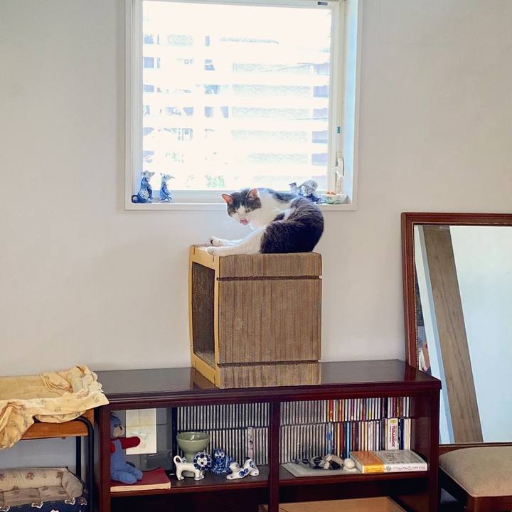 995c85a5 d327 473e b092 de8d91073865 1595729355830